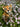 Leopard unge - porcelænsfigur 31 cm fra Selected by dims studio – som blikfang i hjemmet