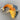 Karpe fisk - lille - BLÅ/ORANGE/GUL vist i boligindretning