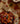Leopard kagespade set fra en anden vinkel