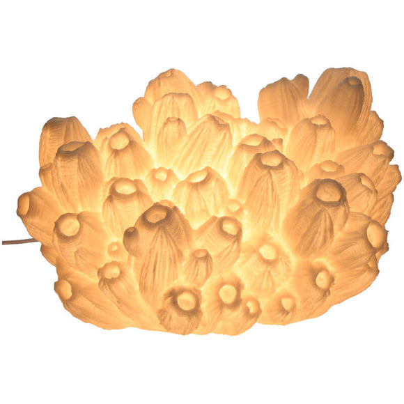 Coral Lotus Sandstone Ivory lampe fra Kersten