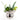 Koala -Wandvase