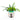 Papageienwandvase