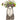 Millie katte vase fra Quail