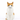 Squash Cats Vase