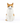 Squash katte vase set fra en anden vinkel