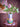 Die Miss Jody Vase aus einem anderen Blickwinkel