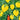 Lemon Garden plakat fra Atelier Imaginare
