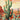 Cactus 01 plakat - flere str. (A20, A150, A1120) fra Atelier Imaginare