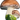 Pilzhaken