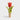 Tulpenweinstopfen