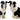 Border Collie Salt & Pepper Kit