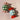 Bonbonsalz und Pfeffer -Sets