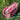 Rosa Kosmetiktasche mit Tigerkopf aus Baumwolle – EJA