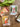 All packed mini puslespil set i indretning