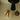 Dronningebi krukke i messing - Doing Goods