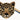 Leopardenkopfteppich