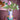 Fräulein Jody Vase