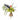 Poesie Bouquet