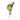 Poesie Bouquet