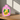 Pink citron vase fra GiftCompany – stillet op som blikfang i hjemmet