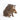 Wildschweinschweinchen