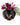 Wandvase mit Dackelmotiv – Dimsstudio