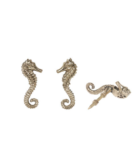 Seestern-Schrankknopf – Dimsstudio